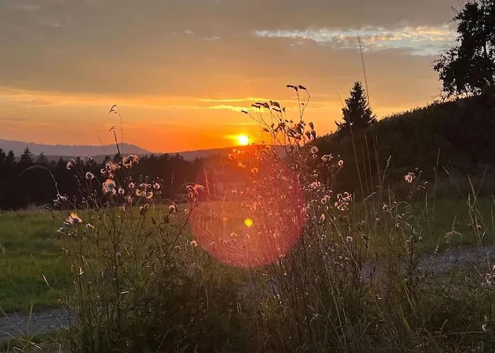 Strefa 201 - W Sercu Gor Sowich * Przygorze